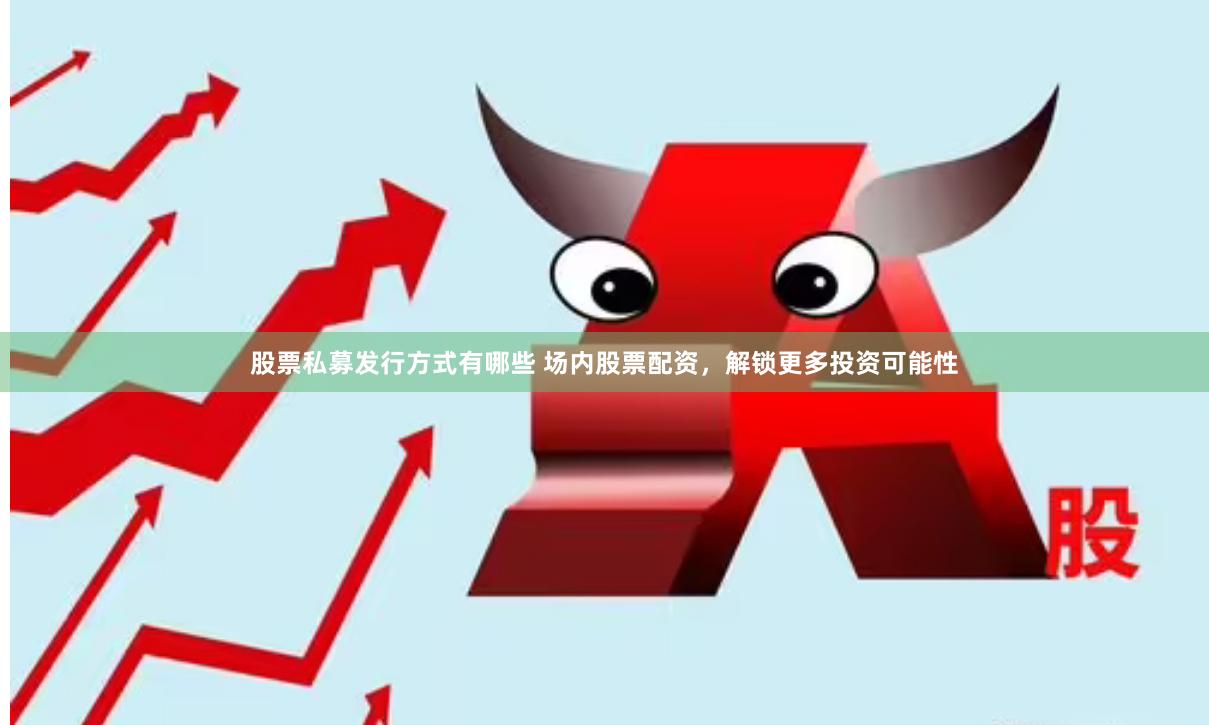 股票私募发行方式有哪些 场内股票配资，解锁更多投资可能性