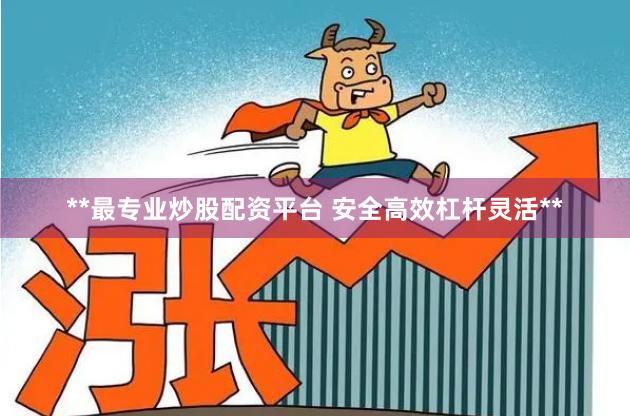 **最专业炒股配资平台 安全高效杠杆灵活**